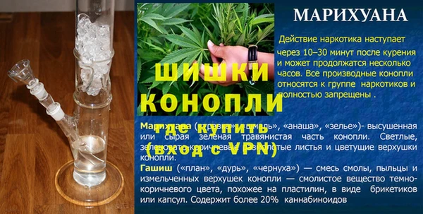 шишки Балабаново