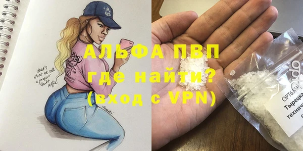 PSILOCYBIN Богданович