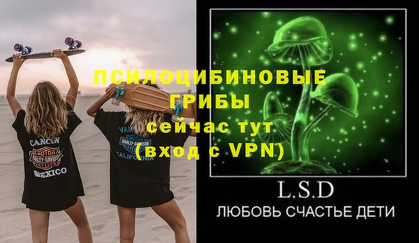 PSILOCYBIN Богданович