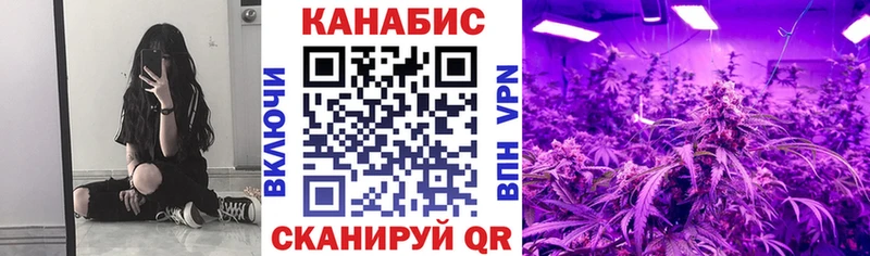 МЕГА ССЫЛКА  Гаврилов-Ям  Марихуана THC 21%  дарнет шоп 